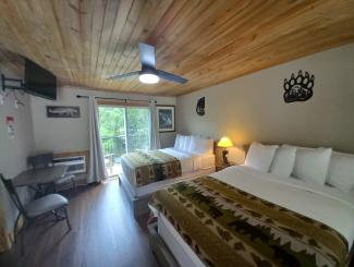 Hotels in Chimney Rock NC - The Carter Lodge double room 