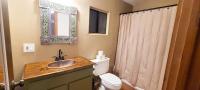 Bathroom vanity with copper sink, antique mirror, toilet, shower bathtub