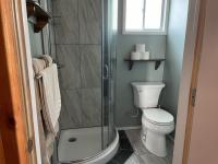 Walk-in shower and toilet