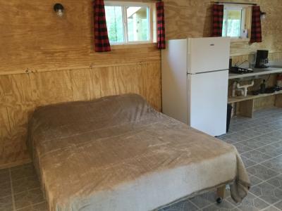 New River Cabin # 8 queen bed area