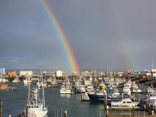 Rainbow over Westport Marina